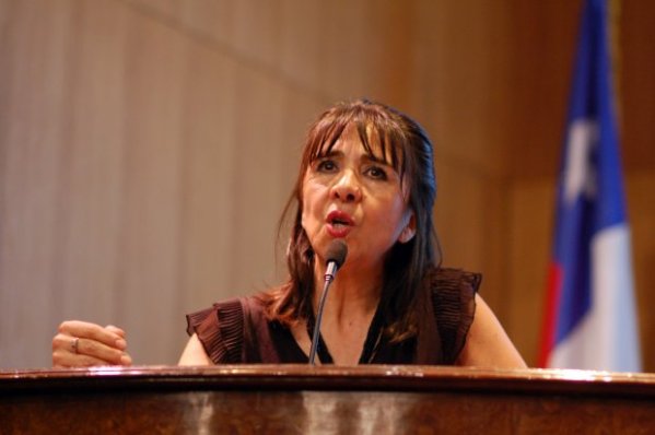 María Eugenia Puelma, director del Programa de la Mujer, de la municipalidad de Santiago